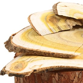Domestic lacquer tree 500g 3 slices lacquer / 국산 옻나무 500g 3개 슬라이스 참옻