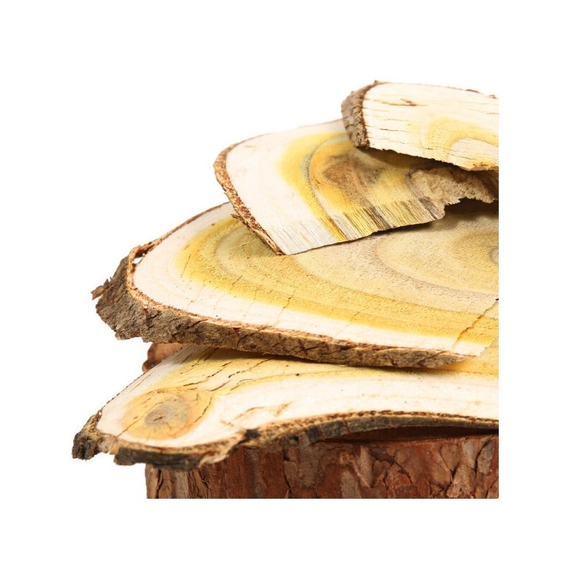 Domestic lacquer tree 500g 3 slices lacquer / 국산 옻나무