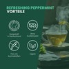 fitvia Refreshing Peppermint Herbal Tea: Loose Tea, Peppermint Tea, Real