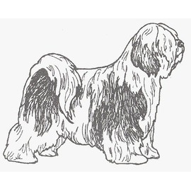 Dog Rubber Stamp - Tibetan Terrier-1E (Size: 2" Wide X 1-3/4" Tall)