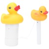 2Pcs Water Thermometer Set High Temperature Resistant Pool Chlorine Dispenser