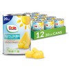Dole Canned Pineapple Chunks in 100% Fruit Juice, 20 Ounce (Pack of 12)