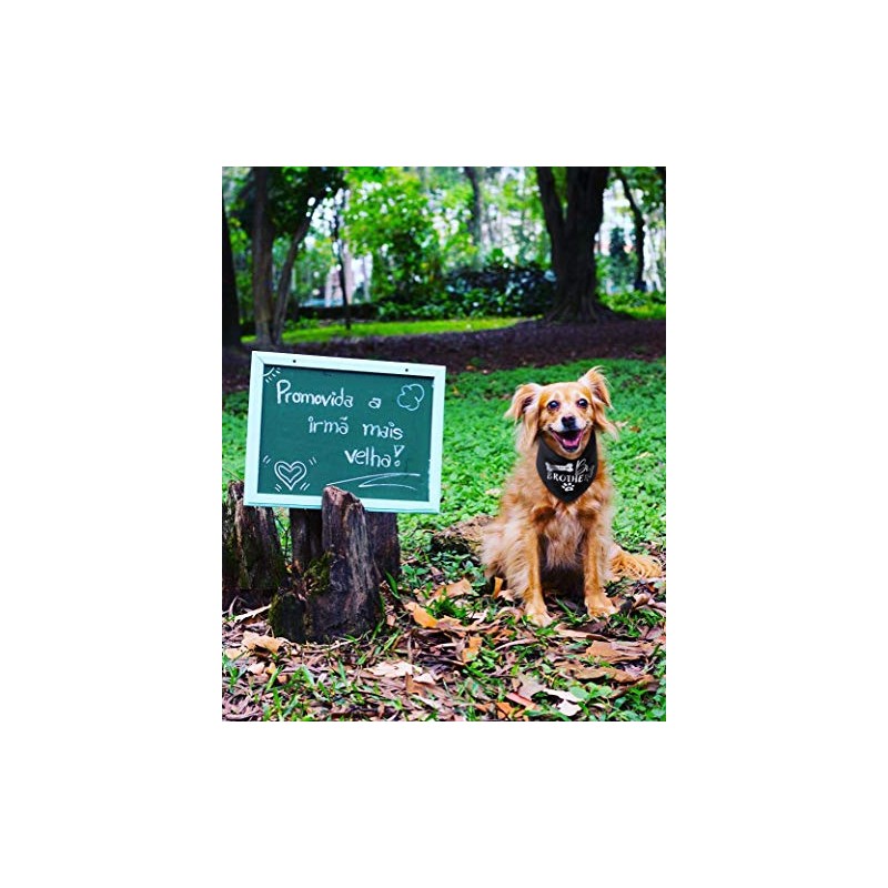 Big Brother - Bandana reversible para perro, diseño triangular, Negro