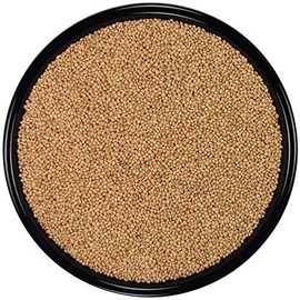 SLEEK & SASSY All Natural White Proso Millet for Birds (20 lbs.)