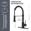 Black Kitchen Faucet with Pull Down Sprayer, High Arc Spring