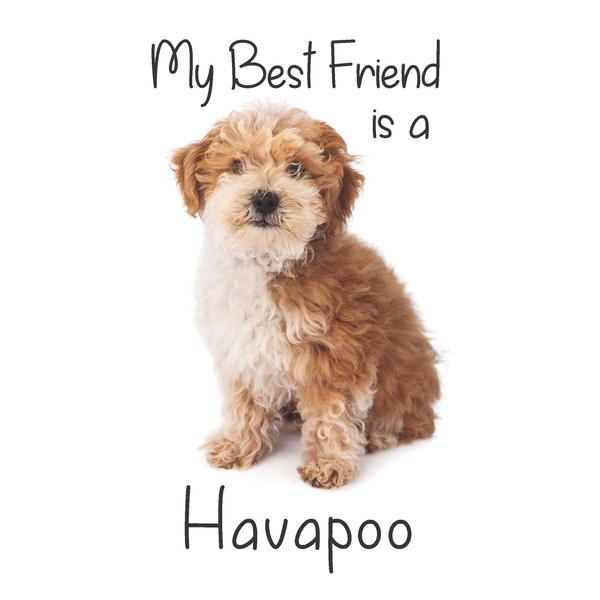 My best Friend is a Havapoo: 8” x 5” Blank