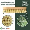 zederle Scrubbing Brushes with Ergonomic Beech Wood Handle (Pack of