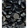 1 Piece Tumbled A Grade Shungite Average Size 4 Grams