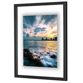 ONE WALL 16x20 Inch Floating Frame, Black Wood Double Glass Float Picture Frame Display 16x20/11x14 Inch Photos or Plant or Petal Specimens for Wall Hanging - Mounting Accessories Included