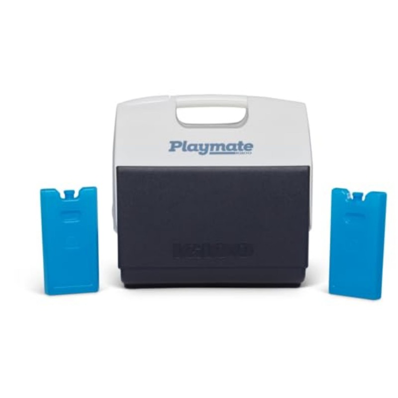 Igloo Maxcold Small Ice Block, 2-Pack, Blue