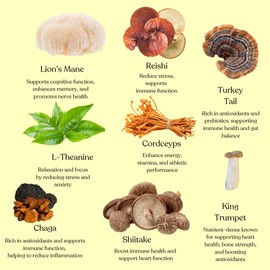 Low Caffeine Mushroom Coffee | Organic Instant Coffee | 7 Mushrooms & L-Theanine | 30 cups | Vegan, Glutenfree | Lions's Mane, Chaga, Cordyceps and More | Gut Health, Mood Enhancer