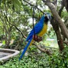 BSIRZAM Hanging Parrot Macaw Sculpture Ring Perch Indoor/Outdoor Statue for