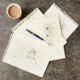 Sheaffer 300 Matte Gray Lacquer Fountain Pen