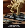 Nifeliz Stegosaurus Fossils Model Set, Dinosaur Skeleton Building Set with