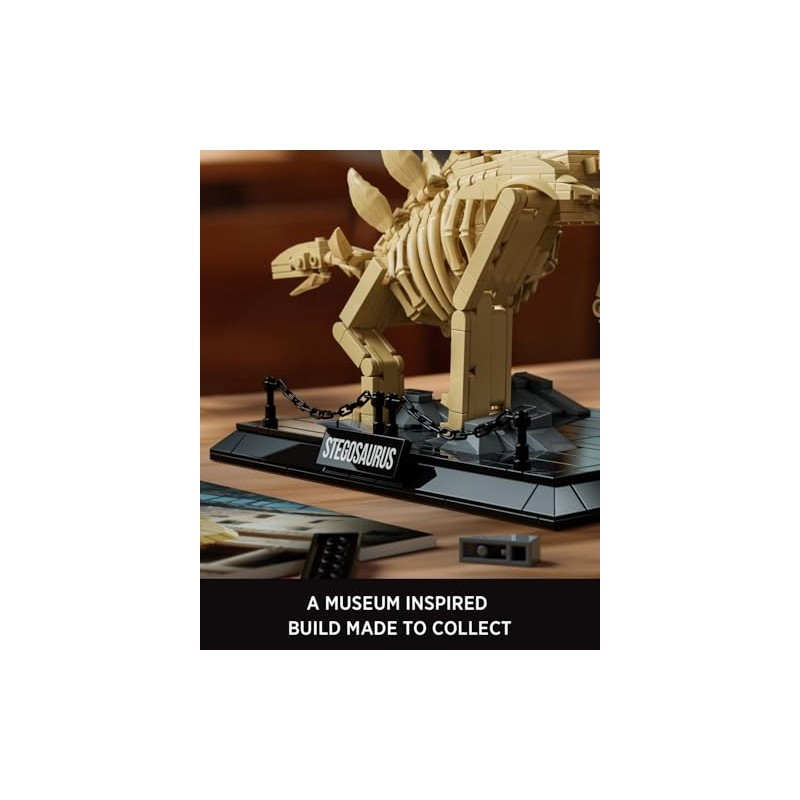 Nifeliz Stegosaurus Fossils Model Set, Dinosaur Skeleton Building Set with