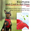 ThinkPet Reflective Breathable Soft Air Mesh No Pull Puppy Choke