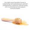 Premier Research Labs Canadian Gold Honey - Raw Honey, Pure