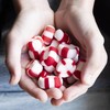 Red Bird Soft Peppermint Puffs, Christmas Candy Individually Wrapped, Perfect