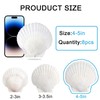 Scallop Shells White Natural Seashell 8 PCS for DIY Craft