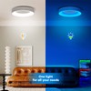 Annaror RGB LED Flush Mount Ceiling Light with Remote Control,