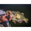 Berkley PowerBait Anzuelo de Pesca para Agua Dulce, Todos los