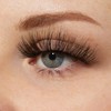 KISS My Lash But Bolder 3D Volume False Eyelashes, Eyelash