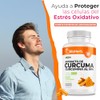 BioHerb® | Cúrcuma 95% Curcuminoides Estandarizados | 180 Cápsulas |