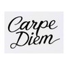 'Carpe Diem' Temporary Tattoo - Water Resistant, Skin-Safe, Non-Toxic Transfer