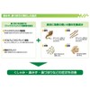 【指定第2類医薬品】アネトン アルメディ鼻炎錠 90錠
