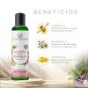 Naturalness Aceite para Masaje Corporal Hidratante con Manzanilla, Hamamelis y