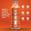 Hoist Premium Hydration Isotonic Electrolyte Drink, Powerful IV-Level Hydrati...