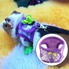 2 Pieces Small Animal Harness Lead, Hamster Harness, Chinchilla Harness,