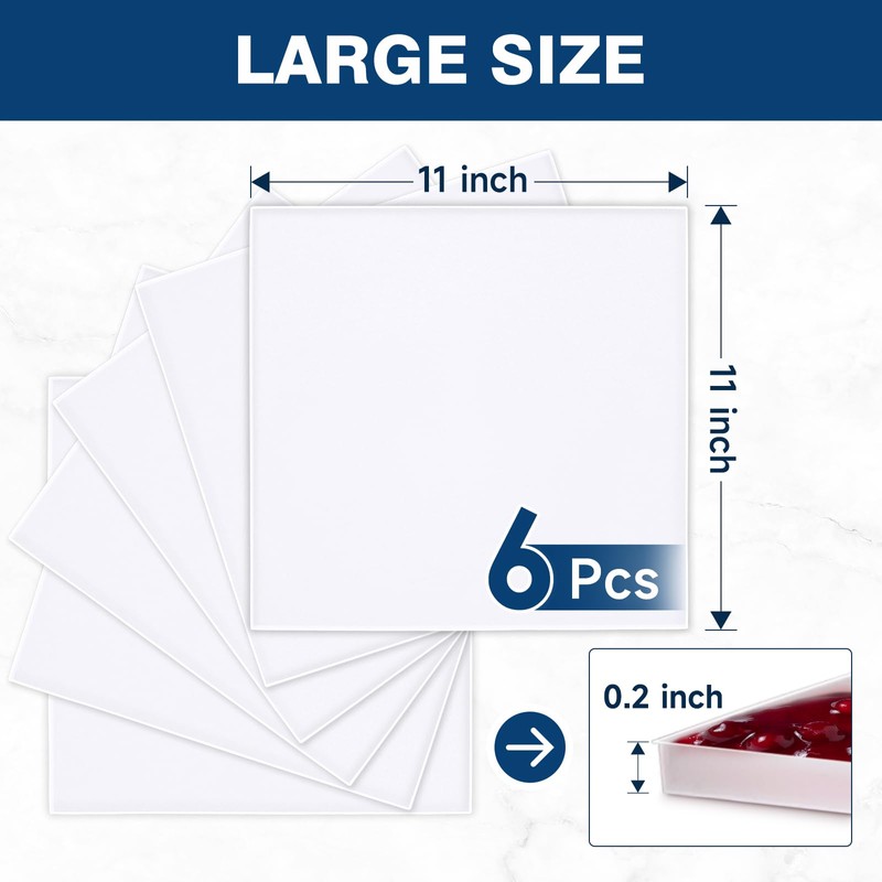 6 Pcs Silicone Dehydrator Trays 11 x 11 Inch, Square