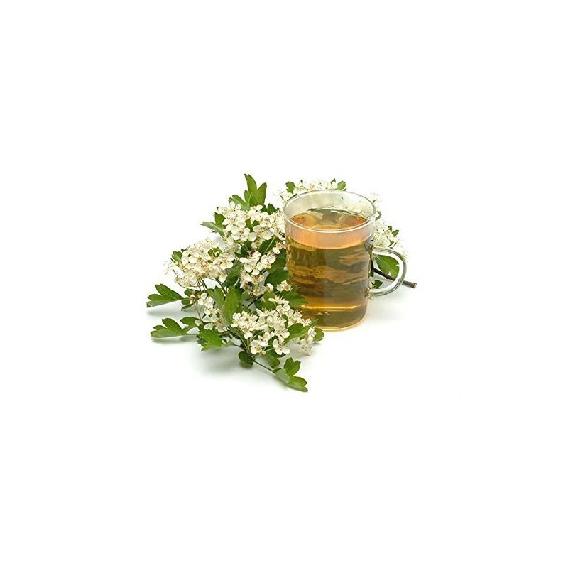 Hawthorn - Crataegus laevigata Loose Leaf & Flower C/S from
