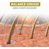 Champú Con Jengibre Para El Crecimiento Del Cabello
