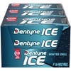 Dentyne Ice Winter Chill Sugar-Free Chewing Gum, 9 Packs of