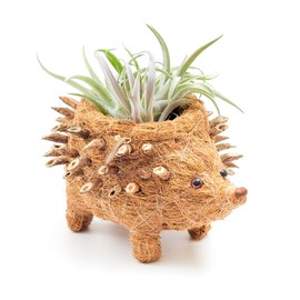 LIKHA Animal Indoor Planter – Artisan Crafted Unique Planters for Indoor Plants – Handmade Eco-Friendly Decor - Ideal for Succulents, Cacti, Indoor Plants - (Hedgehog, 2.5 in)