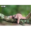 Eugy Sloth 3D Puzzle, 23 Piece Eco-Friendly Educational Learning Puzzles