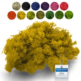 sphagnum-shop.com Real Decorative Moss Reindeer Moss in Yellow 500 g for Model Making Crafts Iceland Moss Preserved