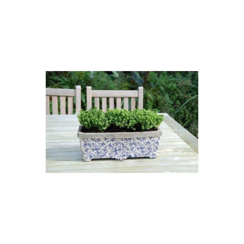 Esschert Design USA Ceramic Balcony Planter-Blue/White