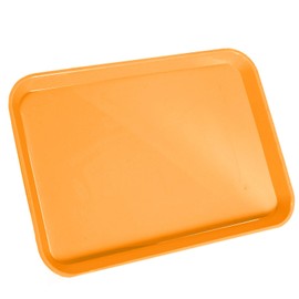 1Pcs Autoclavable Dental Procedure Tray Lockable Set up Flat Trays Size B (Ritter),Plastic Instrument B-Lok Flat Trays, 13.25 x 9.75X 0.875 Inches (1, Carrot Curl)