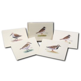Earth Sky + Water - Shorebird Assortment II Notecard Set - 8 Blank Cards with Envelopes (2 each of 4 styles)