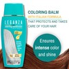 Leganza Hair Coloring Conditioner Natural Balm Color Silver Blonde Nº