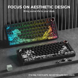 HITIME x XVX Kanagawa Keycaps 60 75 100 Percent - Shine Through Keycaps w/IMD Tech, for Mechanical Keyboards, Full 118 Key Set, OEM Profile, Lines Backlit, Side Printed - Black