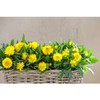 Dehner Rattan Planter, Approx. 30 x 15 x 15 cm,