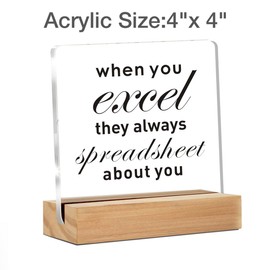 Funny Spreadsheet Gift, Humorous Office Quote Present for Accountants, When You Excel Clear Desk Decorative Sign With Wooden Stand for Office Desk Table Shelf