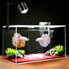 iPriro Fish Tank, 3 Gallon Ultra-Clear Glass Fish Aquarium, with