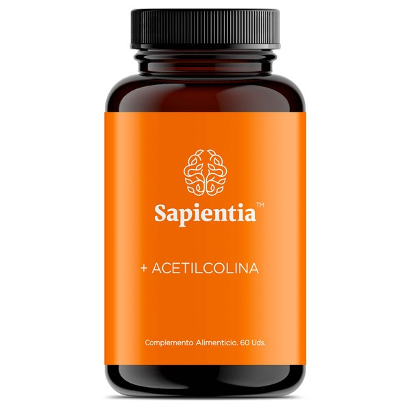 Sapientia + Acetilcolina - Nootrópico Natural para Concentración, Enfoque, Memoria y Claridad Mental Melena de León, Ginseng Americano, Alpha GPC, Omega 3, Complejo B, Lecitina de Soya