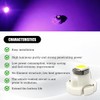 HZEL 10PCS Car T3 Neo Wedge Led Bulbs, 8mm Base