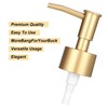 2 Pack Gold Soap Pump, Gold Soap Dispenser Pump for